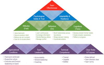 Organisational change multi skilling in the healthcare sector carefirst dr